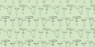 fond de motif de vecteur de champignon, illustration botanique