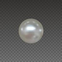 illustration de perle réaliste. vecteur de perle isolé
