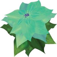 fleur de poinsettia joyeux noël, fleur de différentes couleurs, peut être utilisé ce graphique pour tout type de marchandise. il est parfait pour tout emballage de projet, tasses, sacs, t-shirts, etc. tout ce que vous voulez vecteur