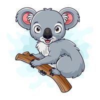 koala drôle de dessin animé isolé sur fond blanc vecteur