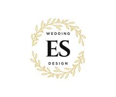 es initiales lettre collection de logos de monogramme de mariage, modèles minimalistes et floraux modernes dessinés à la main pour cartes d'invitation, réservez la date, identité élégante pour restaurant, boutique, café en image vectorielle vecteur