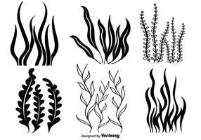 Vector Icônes de mauvaises herbes de mer