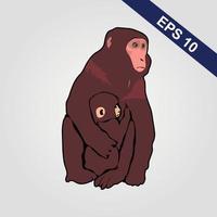 icône de singe mignon. illustration vectorielle isolée sur fond gris. vecteur