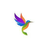 vecteur de logo colibri