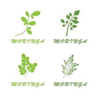 moringa feuille logo modèle vecteur symbole nature