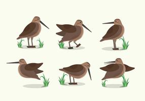 Oiseau, oiseau, habitat, plat, Illustration vecteur