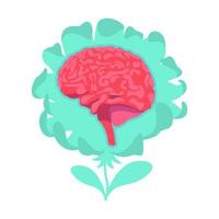 fleur de cerveau anatomique vecteur