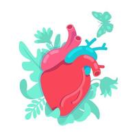 système cardiaque anatomique vecteur