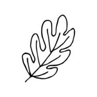 plantes dessinées à la main minimalistes de vecteur. illustration de plante pour logo et décoration dans un style vintage vecteur