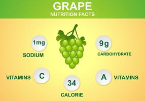 Grape Valeur nutritive Vector