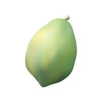 papaye crue réaliste, illustration vectorielle vecteur