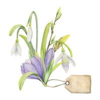 composition dessinée à la main à l'aquarelle avec fleurs printanières, crocus, feuilles et tiges, arc, étiquette cadeau. isolé sur fond blanc. pour les invitations, mariage, cartes de voeux, papier peint, impression, textile. vecteur