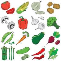 ensemble d'illustration de légumes vecteur