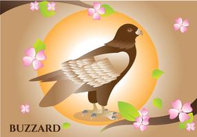 Illustration Buzzard vecteur