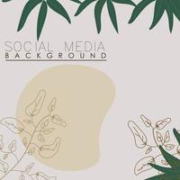 vecteur botanique, fleurs, plantes bannière fond carré post de médias sociaux,