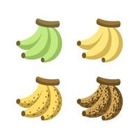 stades de maturation du jeu d'icônes de bananes. couleur de maturité de la banane pas mûre à trop mûre. fruit infographie clipart élément illustration vectorielle. vecteur