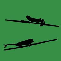 vecteur, illustration, silhouette, animal, grenouille, ensemble, isolé, sur, arrière-plan vert vecteur