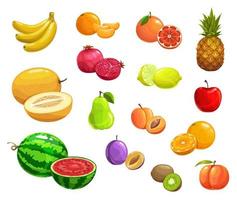 vecteur de fruits de dessin animé icônes de nourriture fraîche mûres naturelles