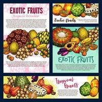 fruits tropicaux exotiques et baies, croquis vectoriel