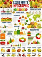 culture de fruits exotiques, infographie de récolte vecteur