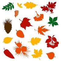 silhouettes de feuilles d'automne, de baies de rowan et de pomme de pin vecteur