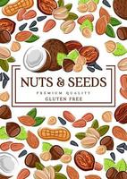 aliments sans gluten, graines crues végétaliennes et noix vecteur