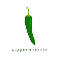 illustration vectorielle de conception plate de poivre d'anaheim. piment anaheim capsicum annuum. vecteur