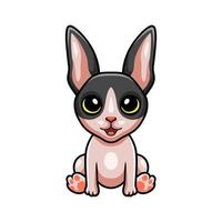 dessin animé mignon chat cornish rex vecteur