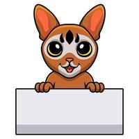 dessin animé mignon chat abyssin tenant une pancarte blanche vecteur