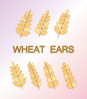 Vecteur d'oreilles de blé gratuit