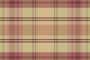 motif de couleur pastel tartan ou plaid. vecteur