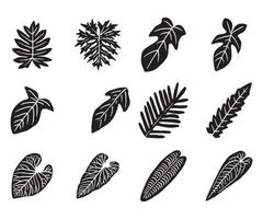 icône de doodle de feuilles de plantes tropicales vecteur