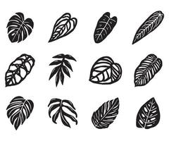 icône de doodle de feuilles de plantes tropicales vecteur