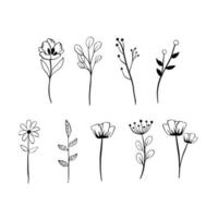 ligne noire doodle fleurs à longue tige sur fond blanc. illustration vectorielle sur la nature. vecteur