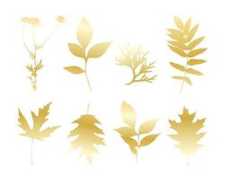 feuilles d'or isolées, ensemble congé et camomille, fond blanc. vecteur