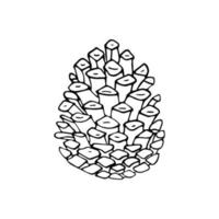 illustration vectorielle détaillée d'une pomme de pin isolée sur blanc. illustration vectorielle dessinée à la main. vecteur