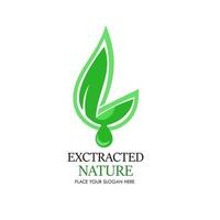 illustration de modèle de conception de logo de nature extraite. il y a des feuilles extraites. c'est bon pour la nature, l'industrie, l'usine, la pharmacie, la médecine, l'éducation, etc. vecteur