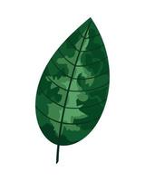 feuilles vertes des plantes vecteur