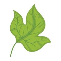 feuillage des plantes à feuilles vertes vecteur