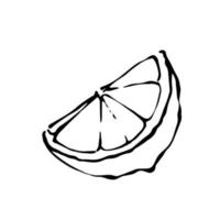 illustration vectorielle de tranche de citron coupé dessiné à la main contour noir et blanc vecteur