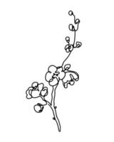 fleur de cerisier dessin au trait unique, branche de sakura en fleurs sprimg illustration vectorielle monochrome dessinée à la main vecteur