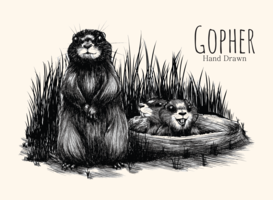 Gopher dessiné à la main vecteur