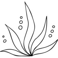 plante. algue. griffonnage dessiné à la main vecteur
