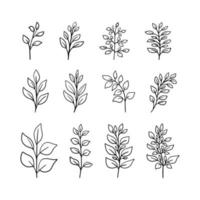 ensemble de clipart de doodle à base de plantes dessinés à la main. branches minimalistes, feuilles pour logo ou tatouage, herbe de mariage. verdure rustique botanique. conception d'art d'arbre. isolé sur fond blanc. vecteur