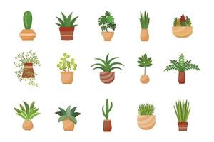 icônes de plantes d'intérieur définies vecteur de dessin animé. conception de fleurs