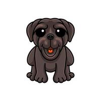 dessin animé mignon chien dogue napolitain vecteur