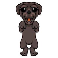 mignon, mastiff napolitain, chien, dessin animé, debout vecteur