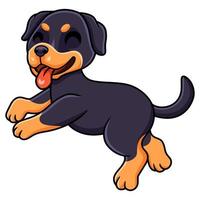 dessin animé mignon petit chien rottweiler vecteur