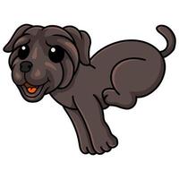 dessin animé mignon chien mastiff napolitain en cours d'exécution vecteur