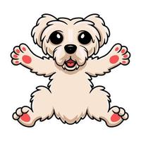 dessin animé mignon chien chiot maltais vecteur